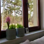 Apartman Maritima's *